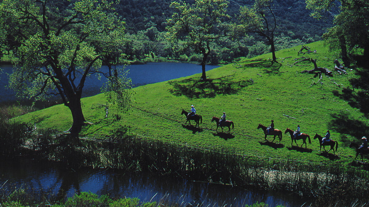 数码排毒养鱼牧场客人2