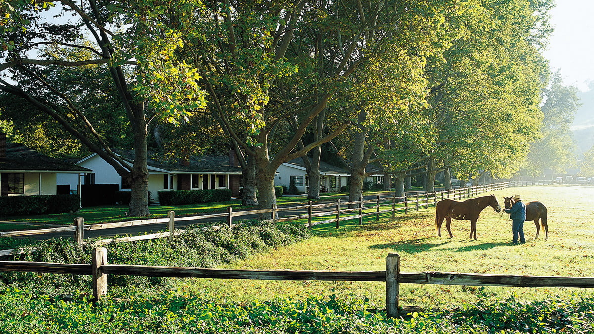 数码排毒养鱼牧场客人6