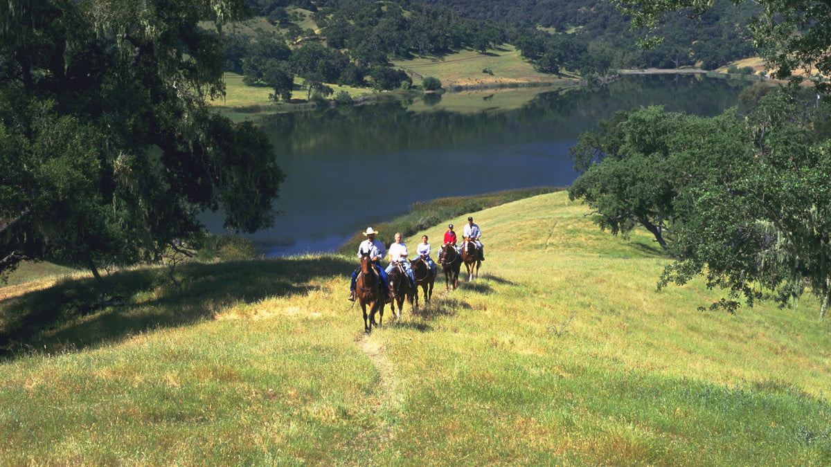数字排毒养鱼牧场养鱼