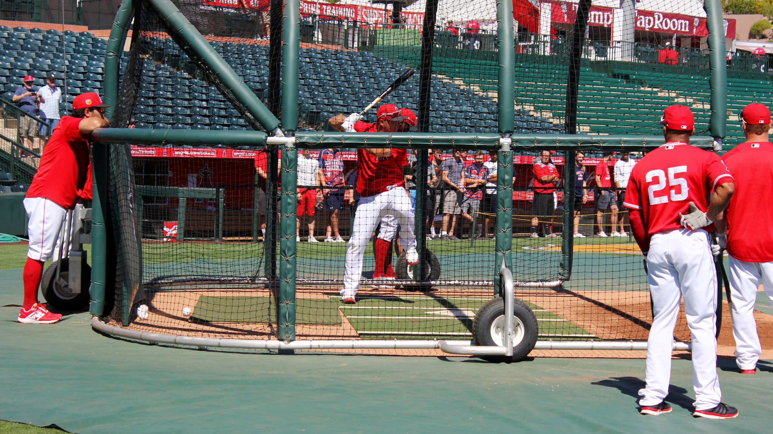 雪佛兰MLB特色天使春季训练2017 4