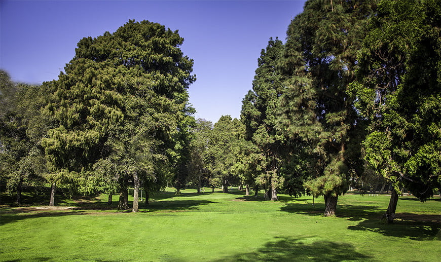 最佳La Public Golf Courses Los Feliz Par 3