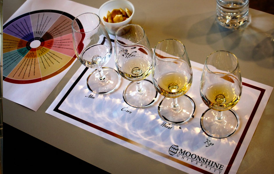 灵教月光大学600类试探