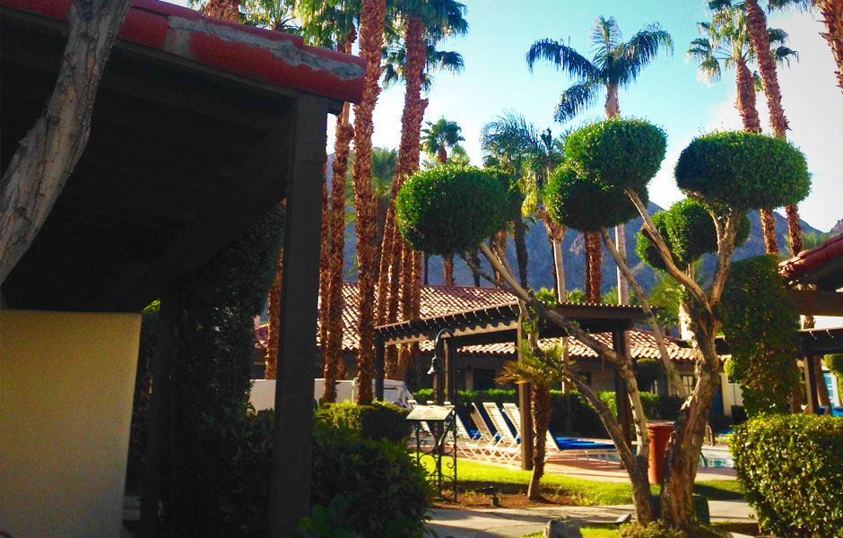 Waldorf休眠驾驶经验3