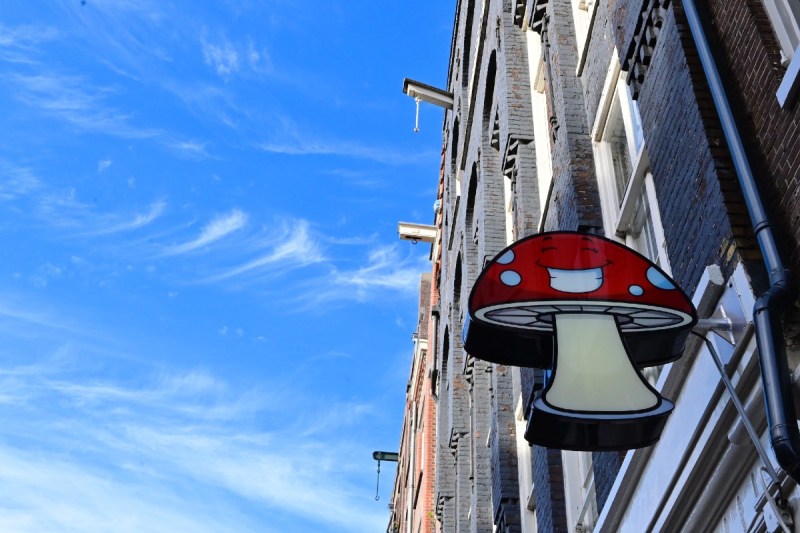 阿姆斯特丹智能商店