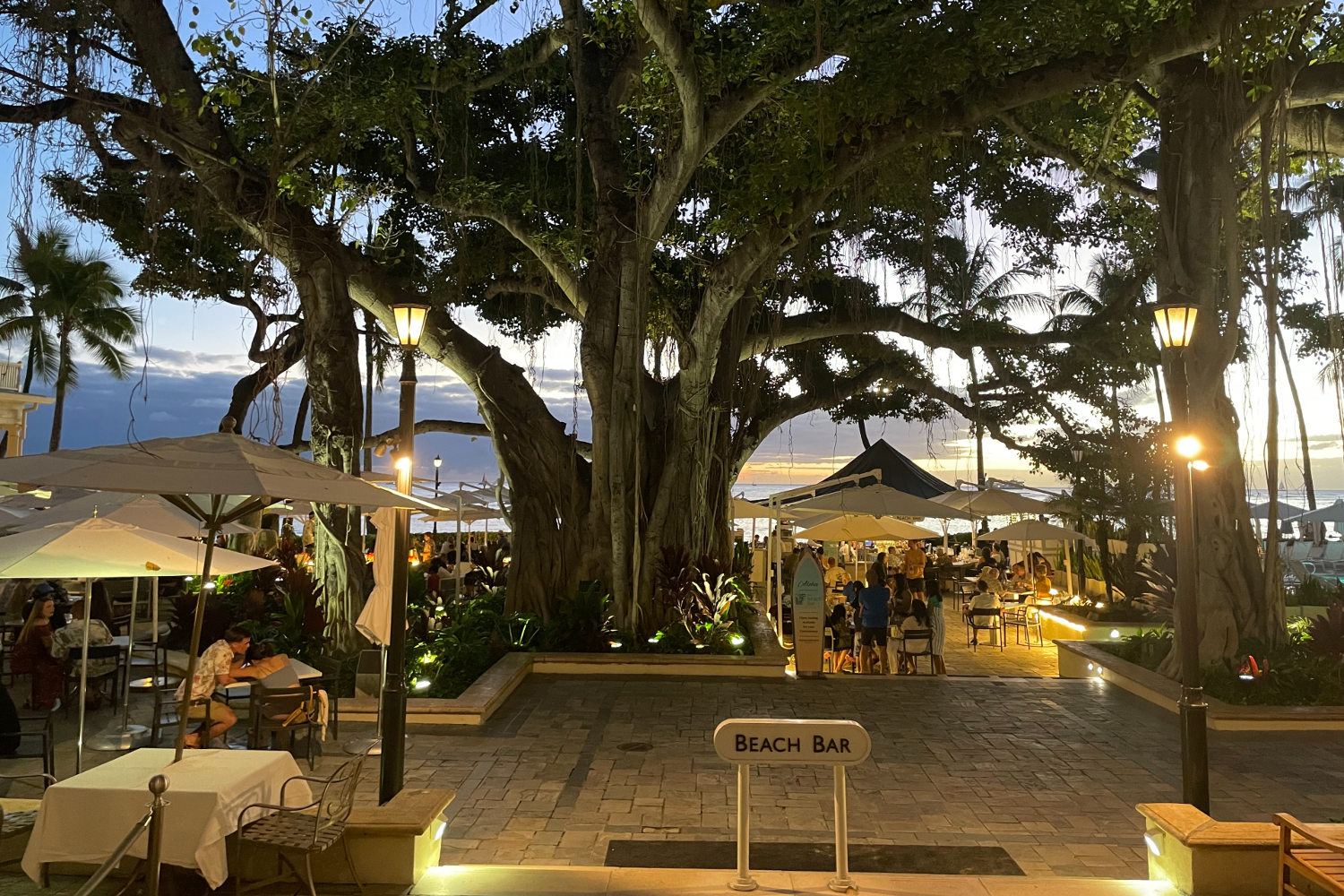 MoanaSurfrider宾馆banyan树