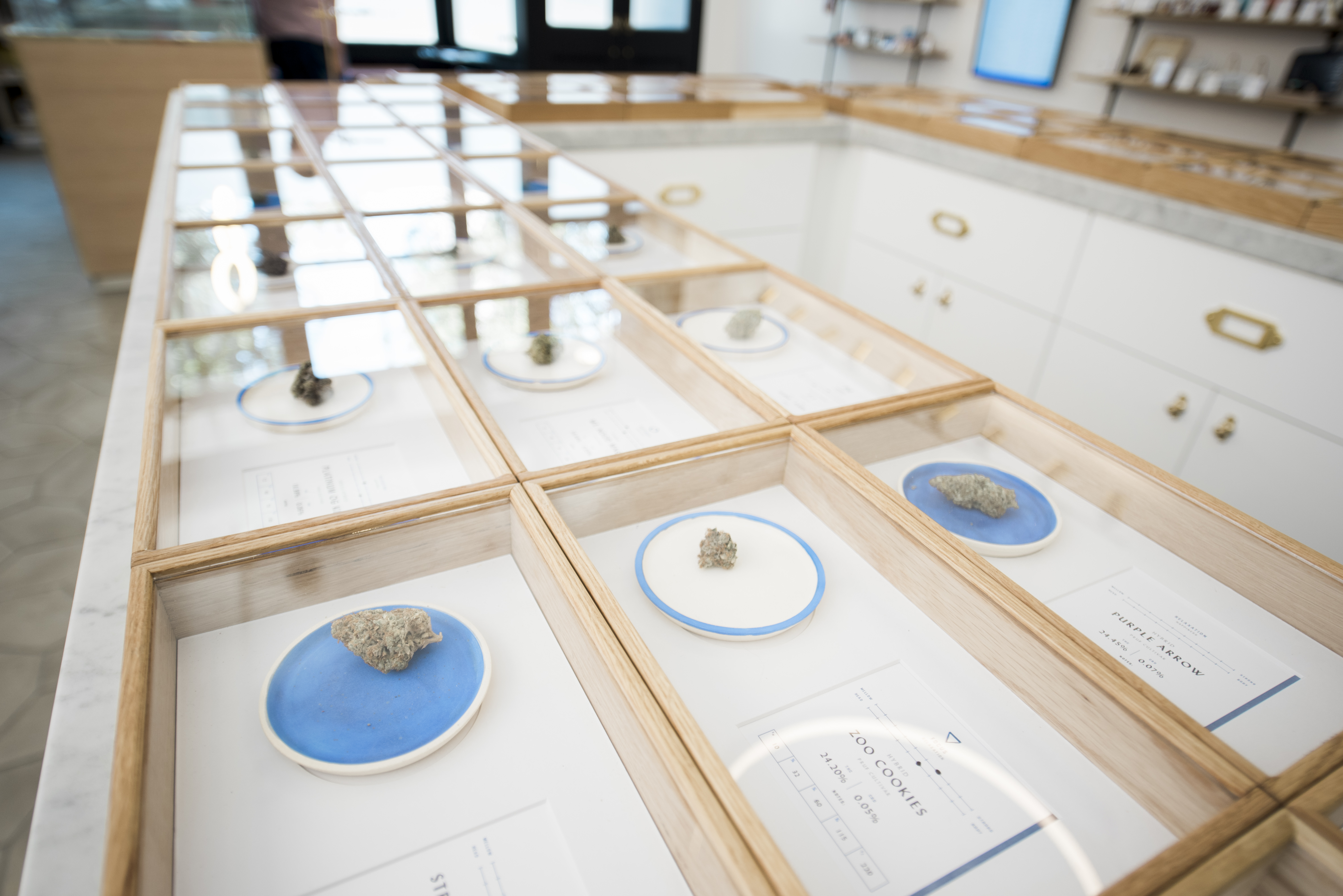 大麻反Serra娱乐药房