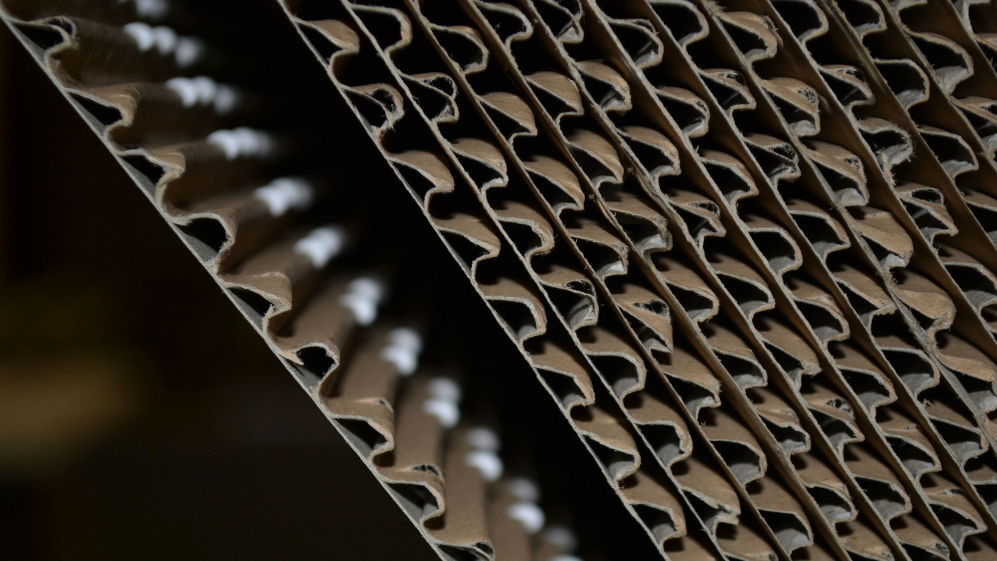 Fiction工厂Wikkelhouse