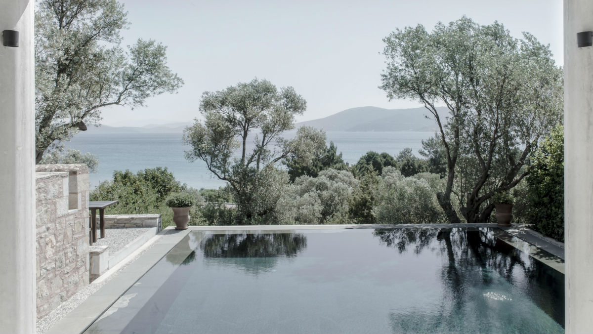 manruya酒店火鸡3