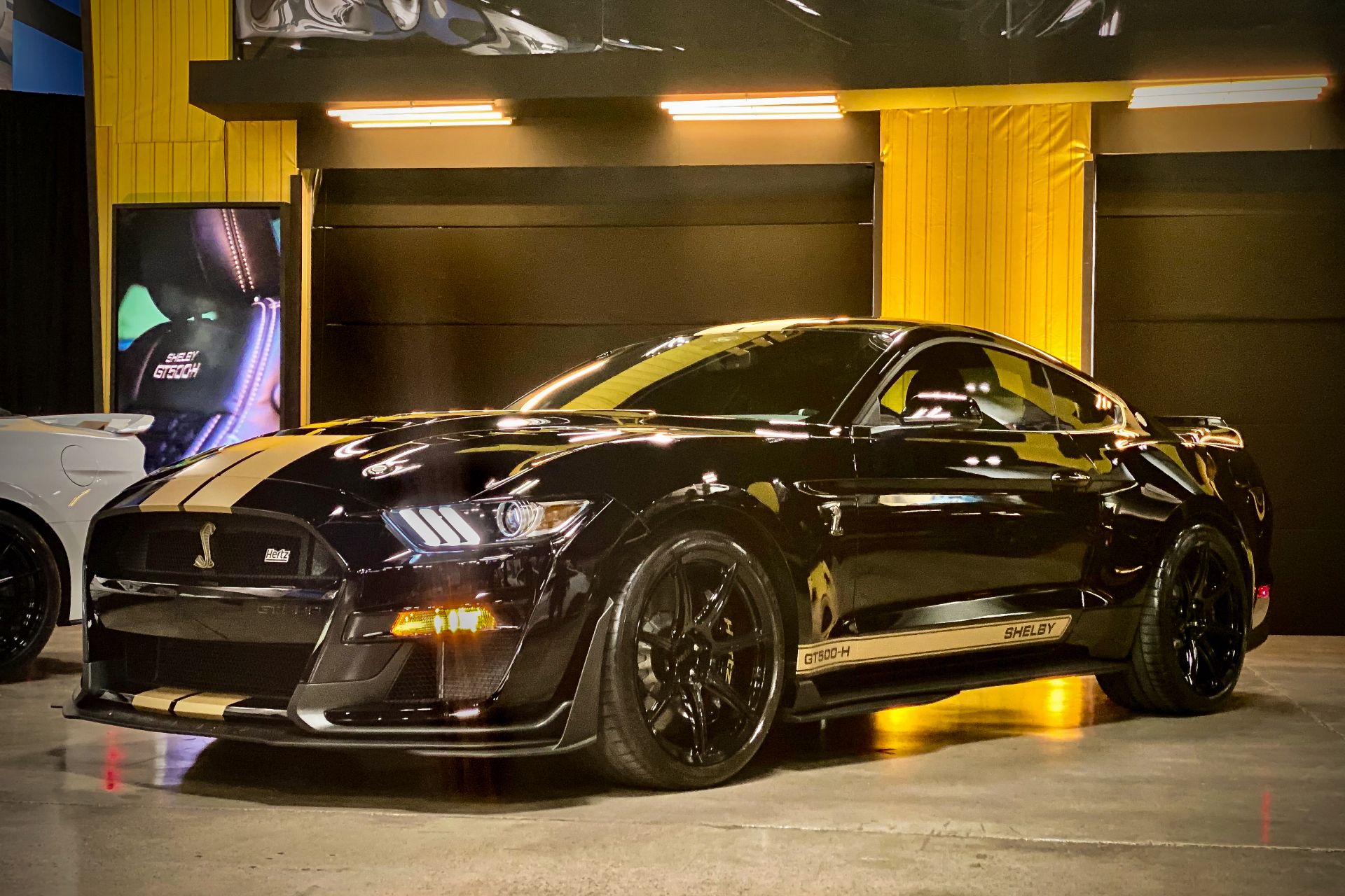 2022 ShelbyGT500-H工作室内水泥楼下亮光,背面有金灯