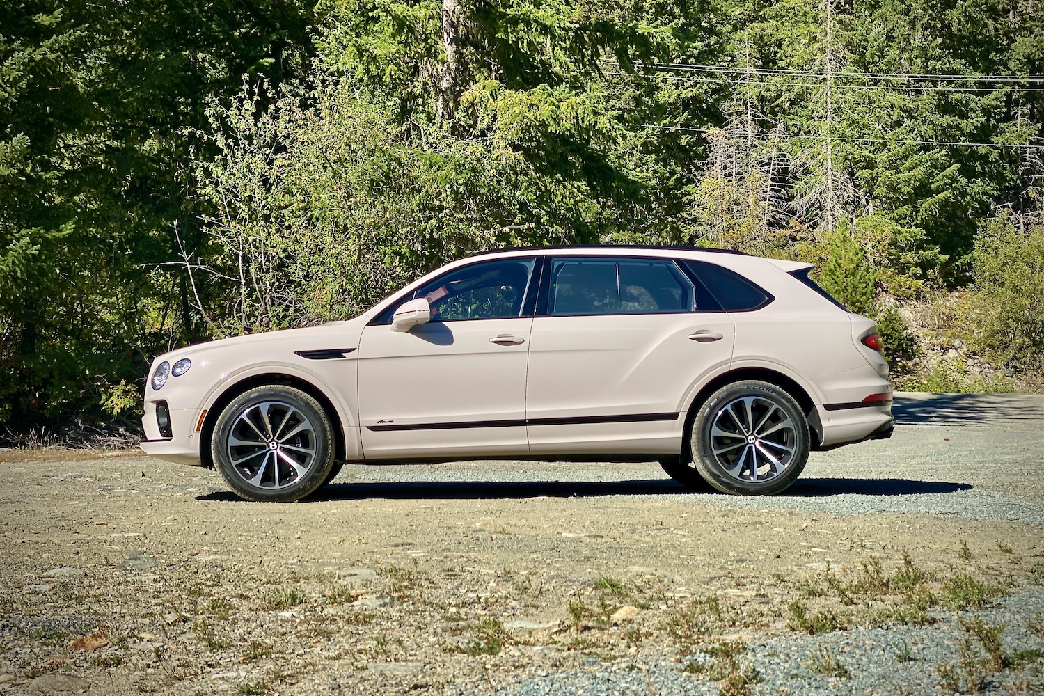 粉红色2023BentygaEWB侧侧侧剖面图,背上树迹沿泥路