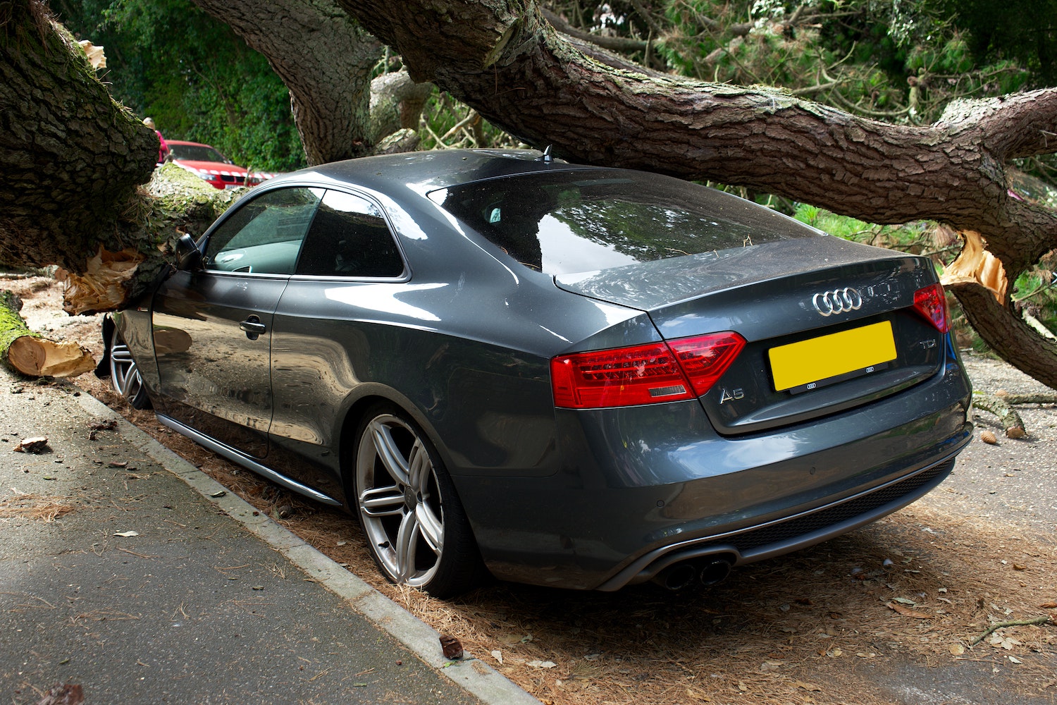 AudiA5从后端角粉碎,屋顶上树并路前端粉碎