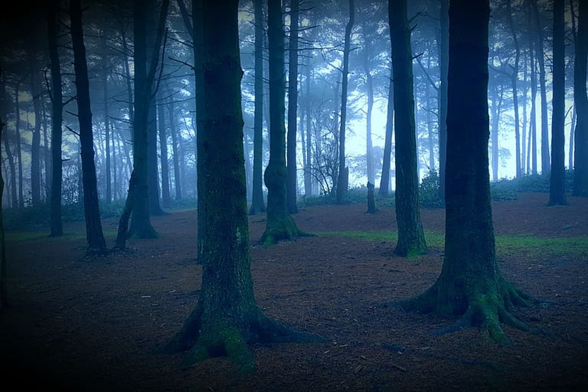 隐蔽、可怕小路