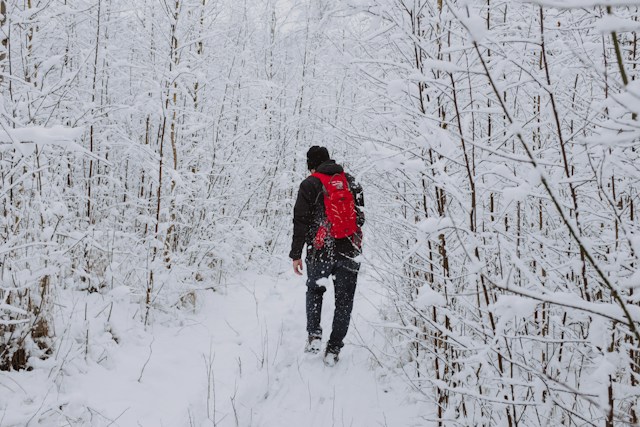 穿红色夹克的人穿过森林 覆盖雪
