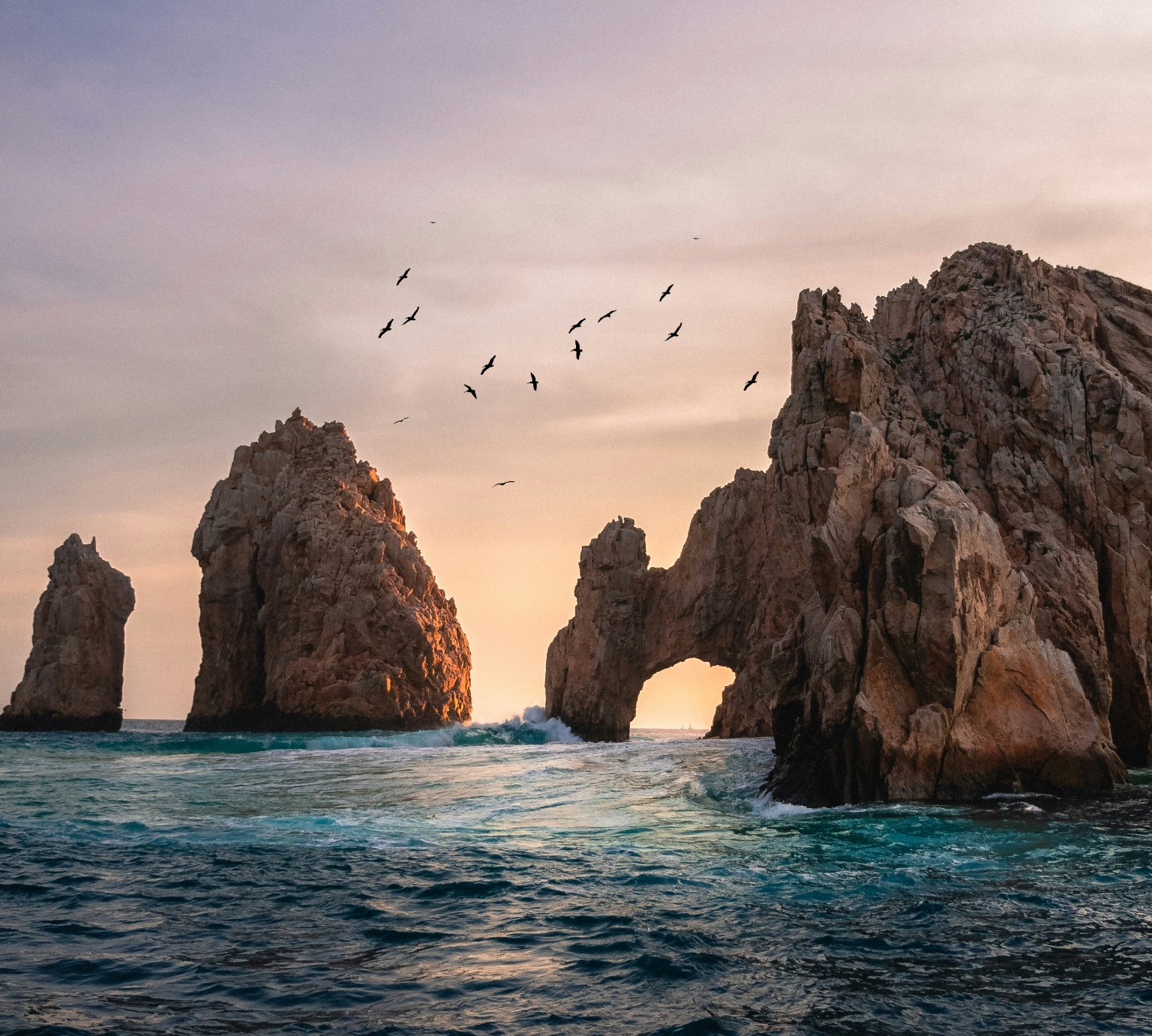 海洋景点Cabo San Lucas