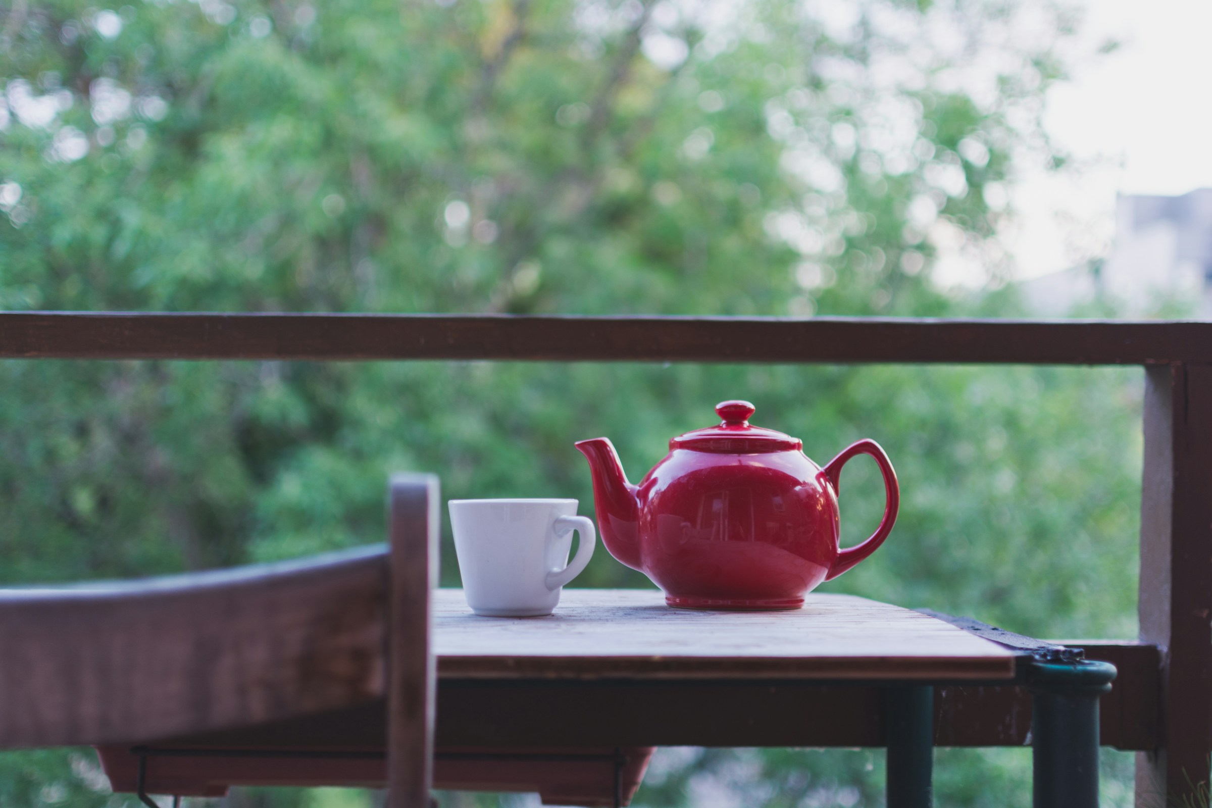 红茶壶和白茶杯外表绿树背景